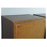 Omega Tower Speakers with CD Changer and DVD Player