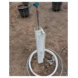 Limelight Panicle Hydrangea - Proven Winners - about 6-7 ft tall in pot