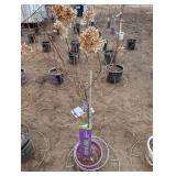 Vanilla Strawberry Panicle Hydrangea Tree (quantity 1)