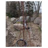 Ruby Tears Crabapple Tree