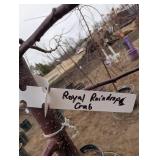 Royal Raindrop Crabapple Tree