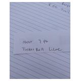 Tinkerbell lilac tree