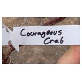 Courageous Crabapple Tree