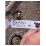 Golden Spice Pear Tree