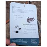 State Fair Apple Tree (Malus 