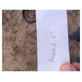 Haralson Apple Tree - Malus 