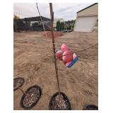 Zestar Apple Tree - Malus 