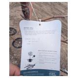 Zestar Apple Tree - Malus 