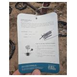 Haralson Apple Tree - Malus 