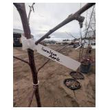 Haralson Apple Trees - Malus 