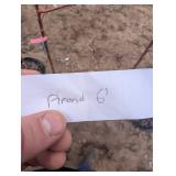 Bailey Nurseries Liberty Apple Tree (qty 1 )