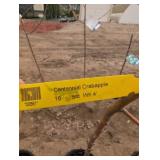 Centennial Crabapple Tree (qty 1)