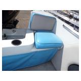 1992 Norhtwoods Runabout with 75 HP Mercury Outboard Motor and Trailer