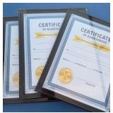 certificate of achievements in frames (45)