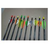 Assorted Carbon Fiber Arrows