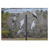 Falls River Dove Decoy Tree