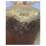 Mint in Box Vintage Mid Century Sectional Metal "Party" Flower