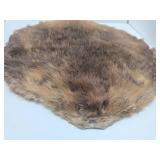 Nice Large Tanned Genuine Beaver Pelt