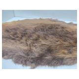 Nice Large Tanned Genuine Beaver Pelt