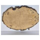Nice Large Tanned Genuine Beaver Pelt