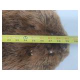 Nice Large Tanned Genuine Beaver Pelt