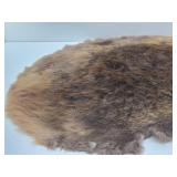 Nice Large Tanned Genuine Beaver Pelt