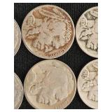 Buffalo Nickels Collection