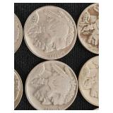 Buffalo Nickels Collection
