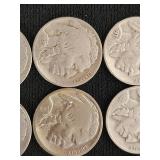 Buffalo Nickels Collection