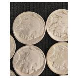 Buffalo Nickels Collection