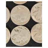 Buffalo Nickels Collection