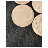 Buffalo Nickels Collection