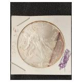 2003 American Silver Eagle Coin