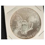 American Eagle 1 oz Silver Coin 2004