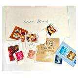 World Stamp Collection with 4 USA Philatelic Books & Planet Earth Album