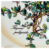 Villeroy & Boch Botanica Platter, Plate and Teapot