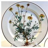 Villeroy & Boch Botanica 7-Inch Vitro-Porcelain Dinner Plates
