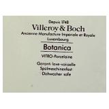 Villeroy & Boch Botanica Oval Plates - Vitro Porcelaine - 2-Piece Set