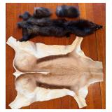 Springbok Pelt 39 x 29 in & Mink Pelt