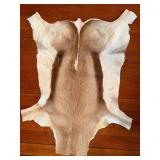 Springbok Pelt 39 x 29 in & Mink Pelt