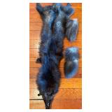 Springbok Pelt 39 x 29 in & Mink Pelt