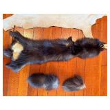 Springbok Pelt 39 x 29 in & Mink Pelt