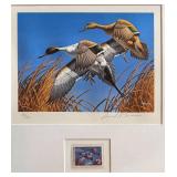 David A. Maass 1979 Minnesota Duck Stamp Print Framed Art (308/3800)