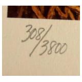 David A. Maass 1979 Minnesota Duck Stamp Print Framed Art (308/3800)