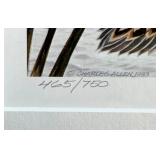 Charles Allen Duck Print - 16 x 15 in - Edition 465/750