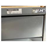 Mayline Map Cabinet - Steel Storage Unit
