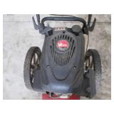 Earthquake 22-Inch Cutting Path Gas  Mower