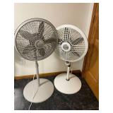 Lasko Pedestal Fans - 2-Pack