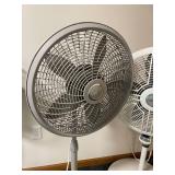Lasko Pedestal Fans - 2-Pack