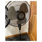 Lasko Pedestal Fan (5-Blade) - Holmes Stand Fan (4-Blade)